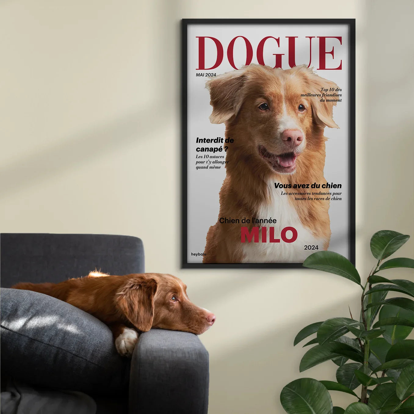 Affiche personnalisée magazine canin « DOGUE »