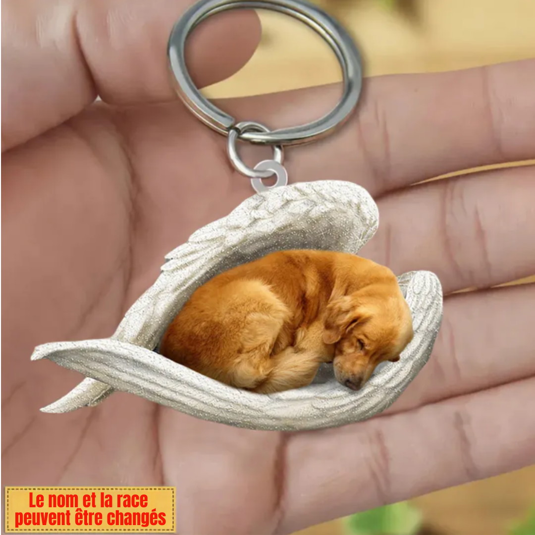AngelDog™