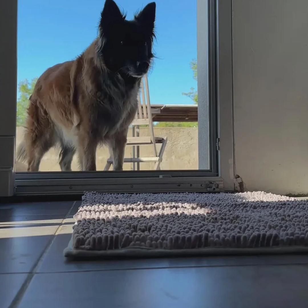 Tapis ultra-absorbant - pattes d'animaux