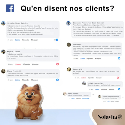 Coussin en forme d’animal (Style Disney Pixar)