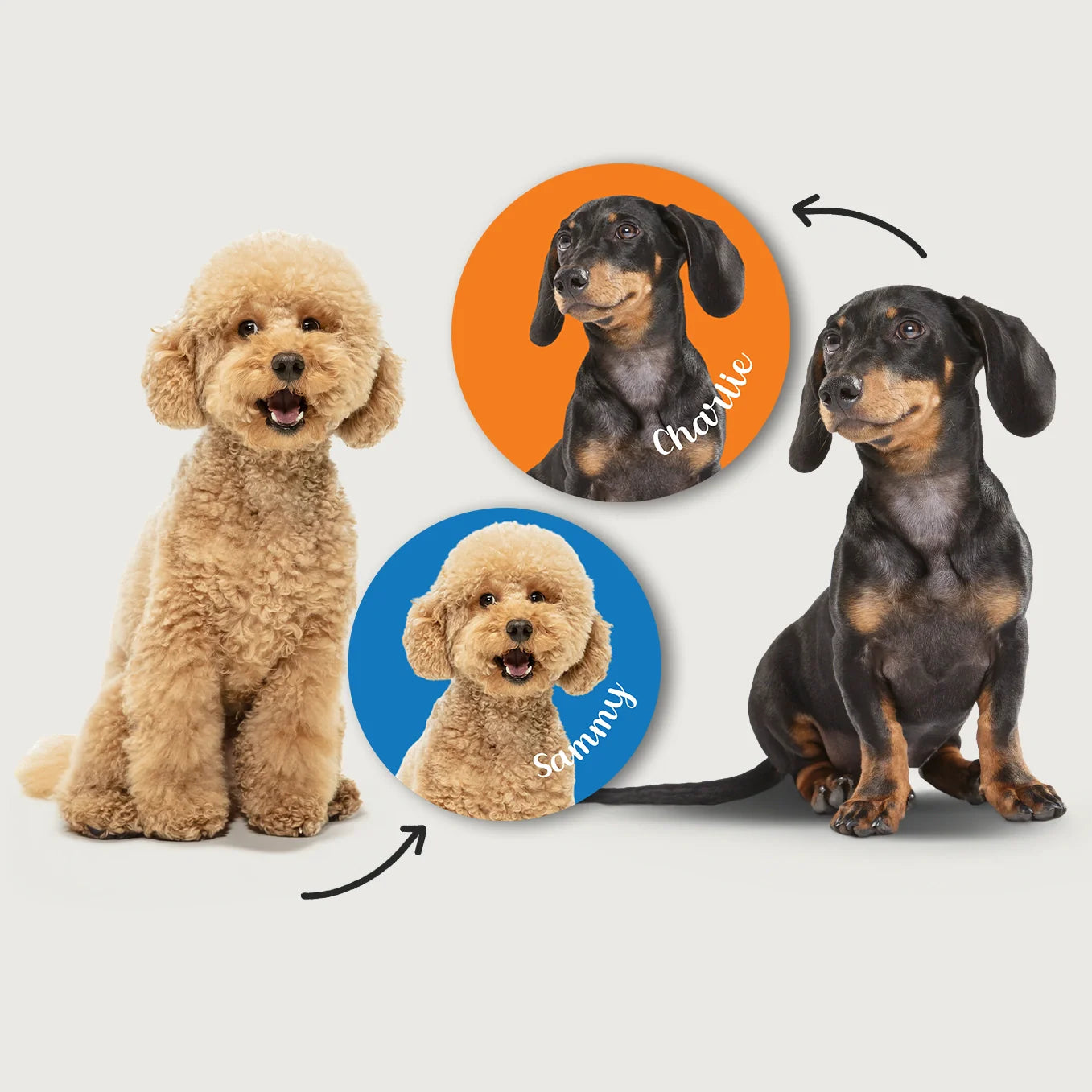 Autocollant personnalisé pour voiture « Photo de chien »
