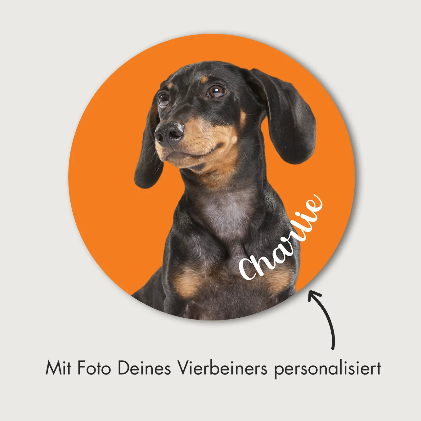 Autocollant personnalisé pour voiture « Photo de chien »