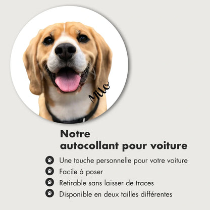 Autocollant personnalisé pour voiture « Photo de chien »