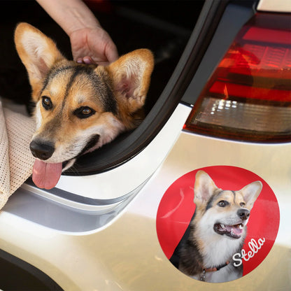 Autocollant personnalisé pour voiture « Photo de chien »