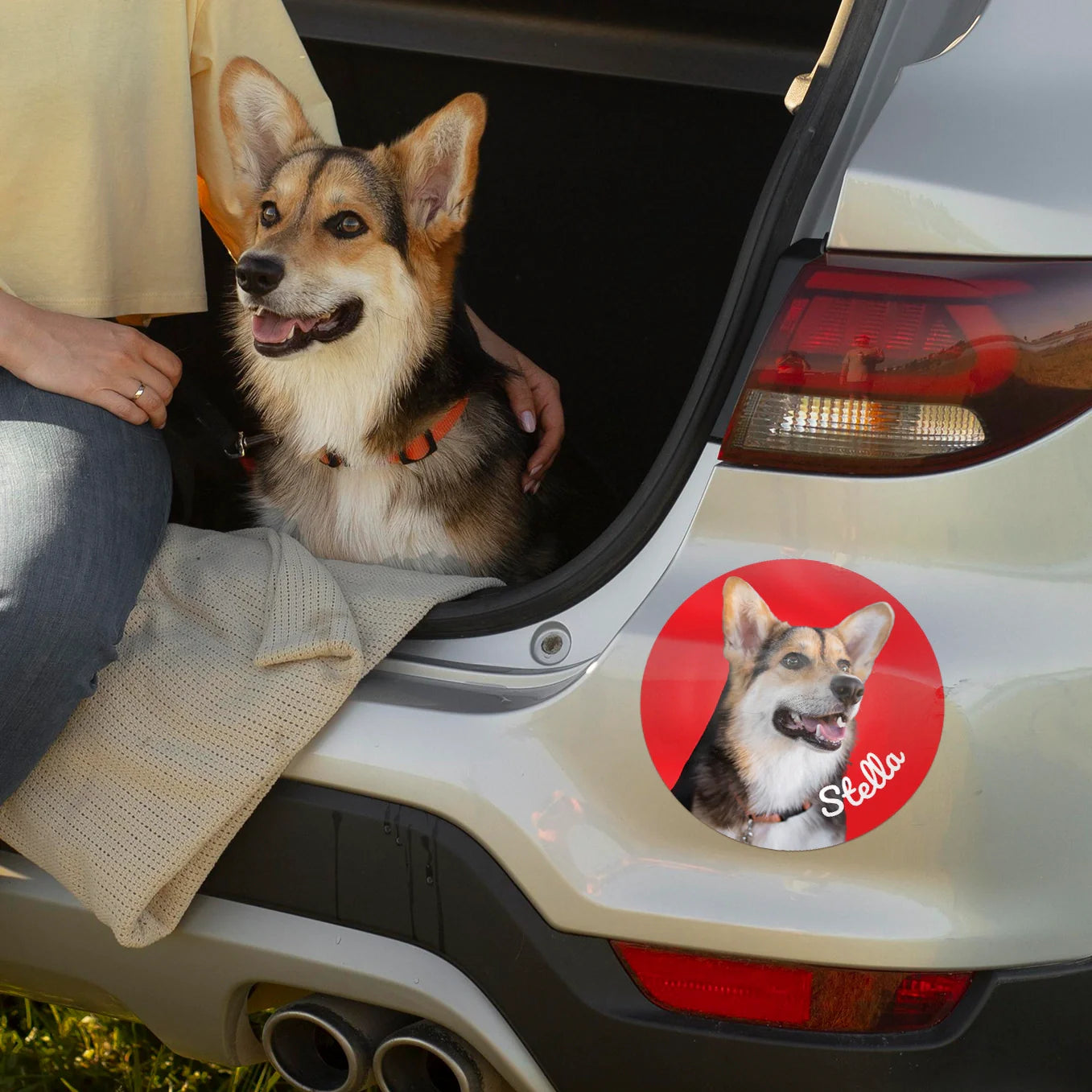Autocollant personnalisé pour voiture « Photo de chien »