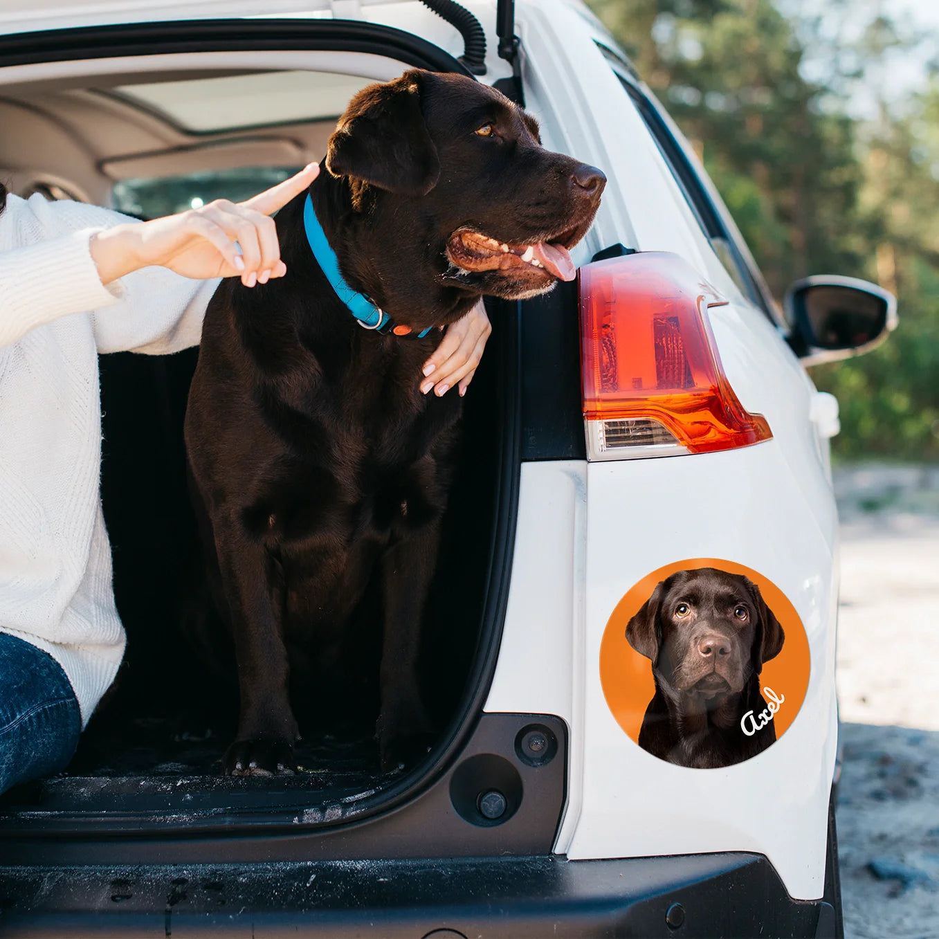 Autocollant personnalisé pour voiture « Photo de chien »