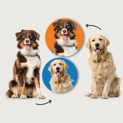 Autocollant personnalisé pour voiture « Photo de chien »