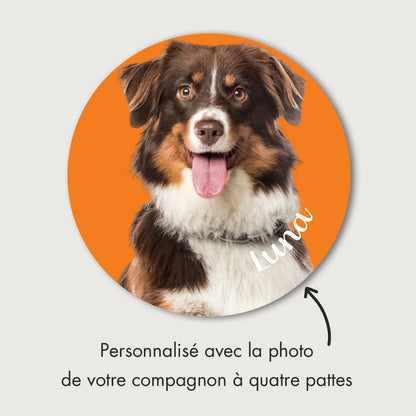 Autocollant personnalisé pour voiture « Photo de chien »
