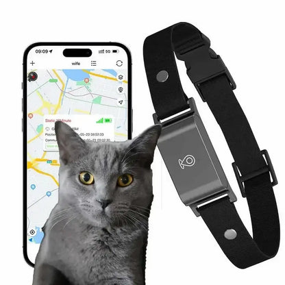 Collier GPS chat sans abonnement - Zéro frais | Trakino