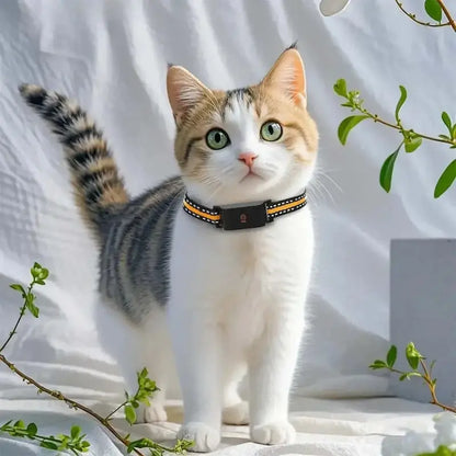 Collier GPS chat sans abonnement - Zéro frais | Trakino