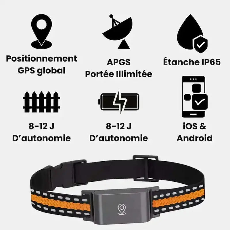 Collier GPS chat sans abonnement - Zéro frais | Trakino