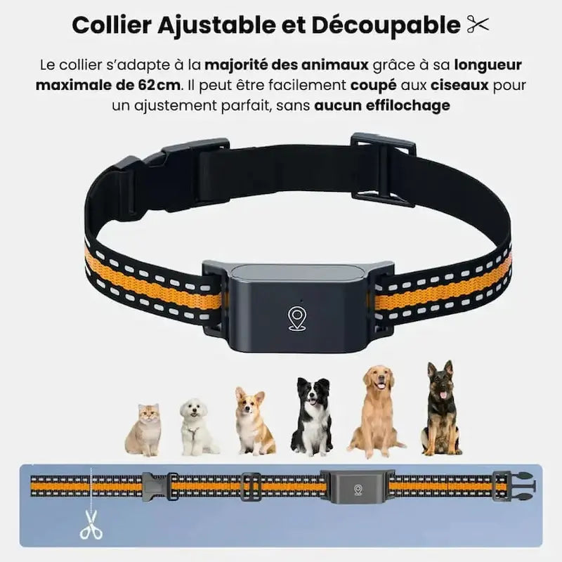 Collier GPS chat sans abonnement - Zéro frais | Trakino